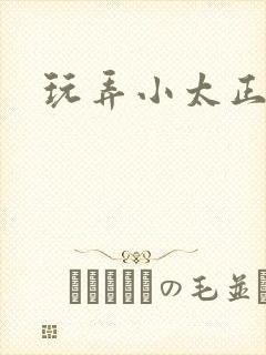 玩弄小太正h文封面