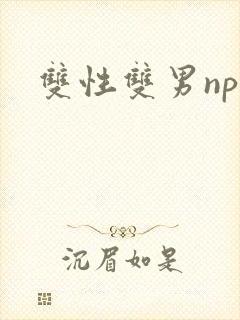 双性双男np文