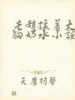 老赵揉着大雪的胸奶水小说