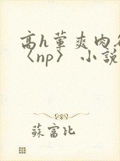 高h荤爽肉欲文〈np〉 小说