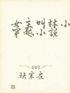 女主叫林小渔的穿越小说