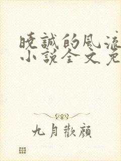 晓诚的风流人生小说全文免费阅读最