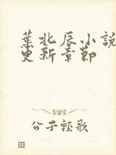 叶北辰小说最新更新章节