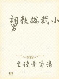 调教总裁小说男男