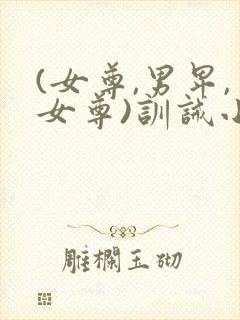 (女尊,男卑,女尊)训诫小说封面