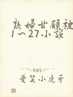 熟妇甘愿被调教1～27小说