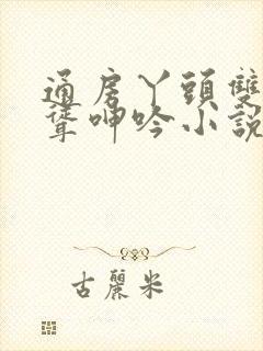 通房丫头双乳高耸呻吟小说