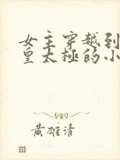 女主穿越到清初皇太极的小说