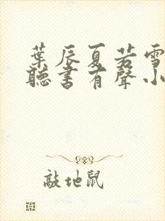 叶辰夏若雪孙怡听书有声小说封面