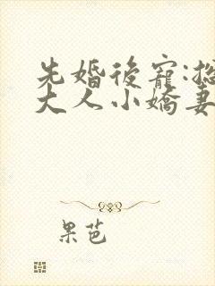 先婚后宠:总裁大人小娇妻封面