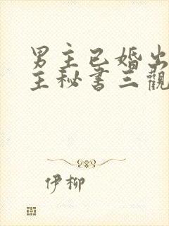 男主已婚出轨女主秘书三观不正小说封面