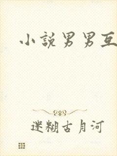 小说男男互攻h封面