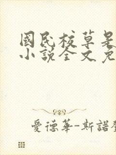 国民校草是女生小说全文免费阅读