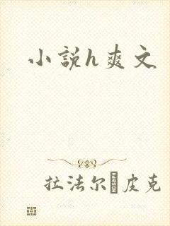 小说h爽文