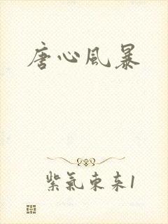 唐心风暴