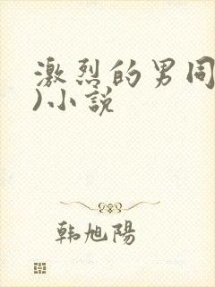 激烈的男同(h)小说