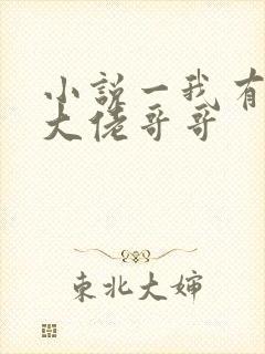 小说一我有七个大佬哥哥