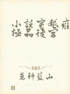 小说穿越雍正之极品后宫