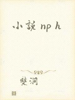 小说 np h