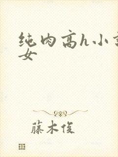 纯肉高h小说男女