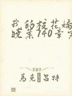 我的校花娇妻秦晓叶740章完整版阅读