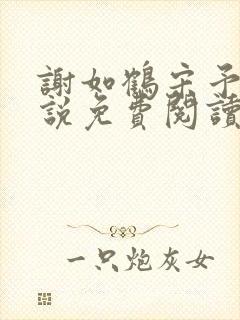 谢如鹤宋予朵小说免费阅读最新章节