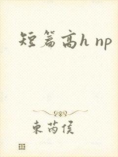 短篇高h np