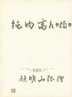 纯肉高h啪啪文
