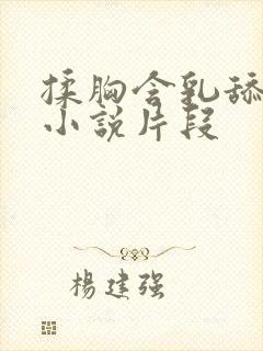 揉胸含乳舔下面小说片段封面