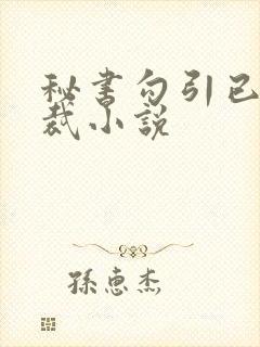 秘书勾引已婚总裁小说