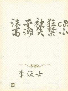 沫子被狂c躁到高潮失禁小说