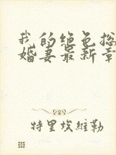 我的绝色总裁未婚妻最新章节沈浪封面