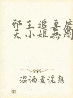 邪王追妻废材逆天小姐无删减