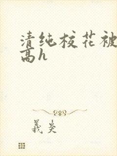 清纯校花被调教高h