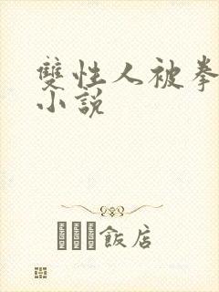 双性人被拳交的小说