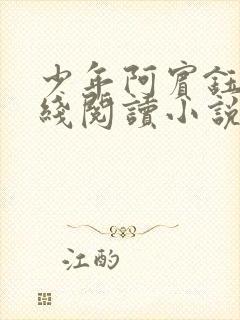 少年阿宾钰慧在线阅读小说txt