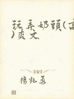 玩弄奶头(高h)爽文