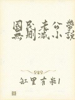 国民老公带回家无删减小说