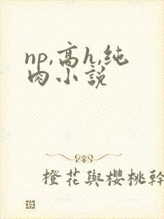 np,高h,纯肉小说
