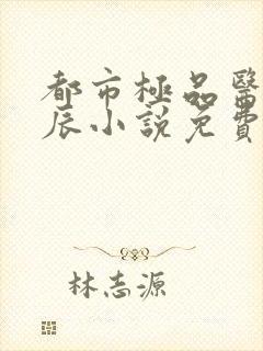 都市极品医神叶辰小说免费阅读