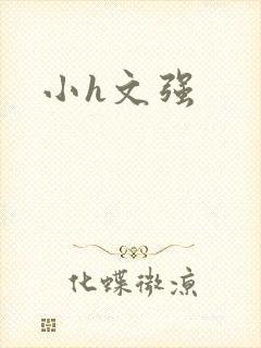 小h文强