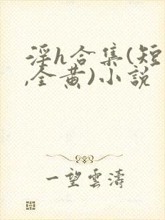 淫h合集(短篇,全黄)小说封面