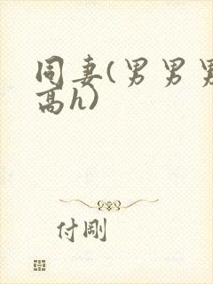 同妻(男男男女高h)封面