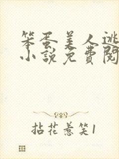 笨蛋美人逃婚后小说免费阅读