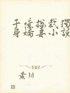 千亿总裁独宠替身娇妻小说