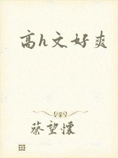 高h文好爽封面