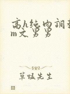 高h纯肉调教sm文男男