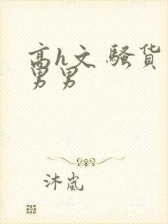 高h文 骚货 男男