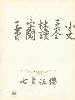 王宇林柔小说免费阅读全文最新章节封面