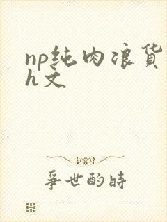 np纯肉浪货高h文